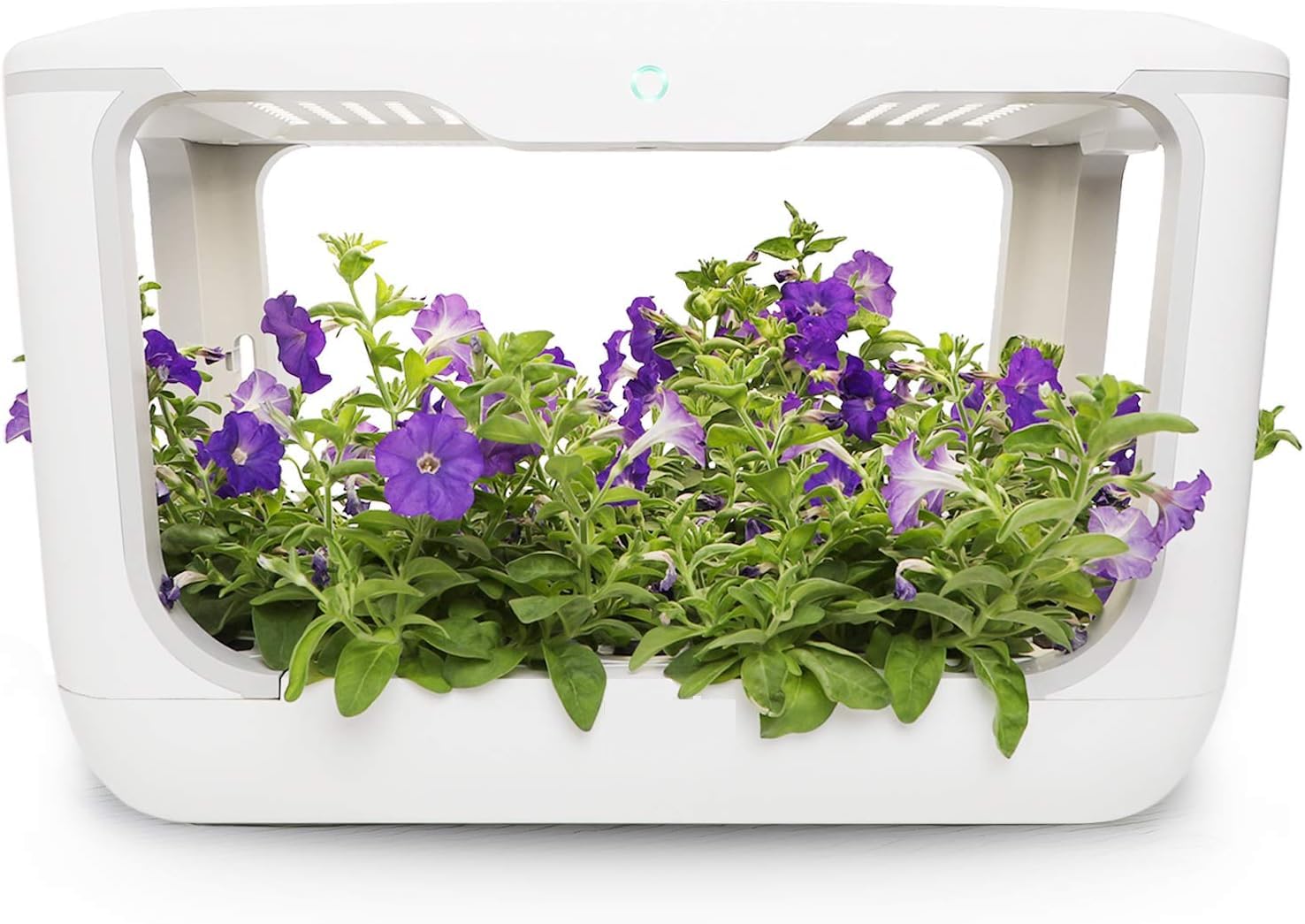 7 Practical Moves to Speed Up Yield Gains in a Smart Farm